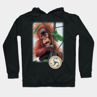 Baby Orangutan Hoodie